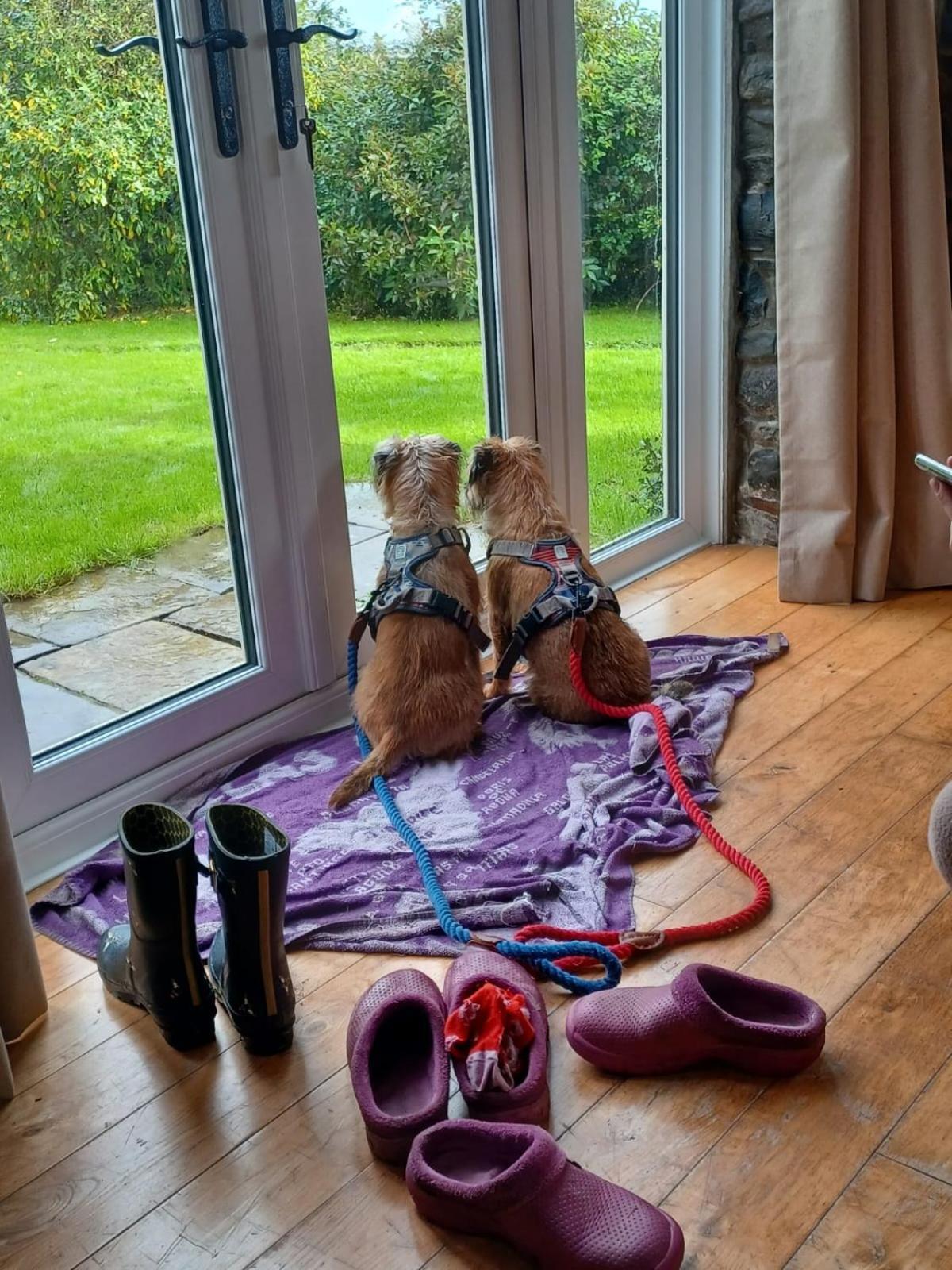 Pippin Lodge Llanwrda Kültér fotó