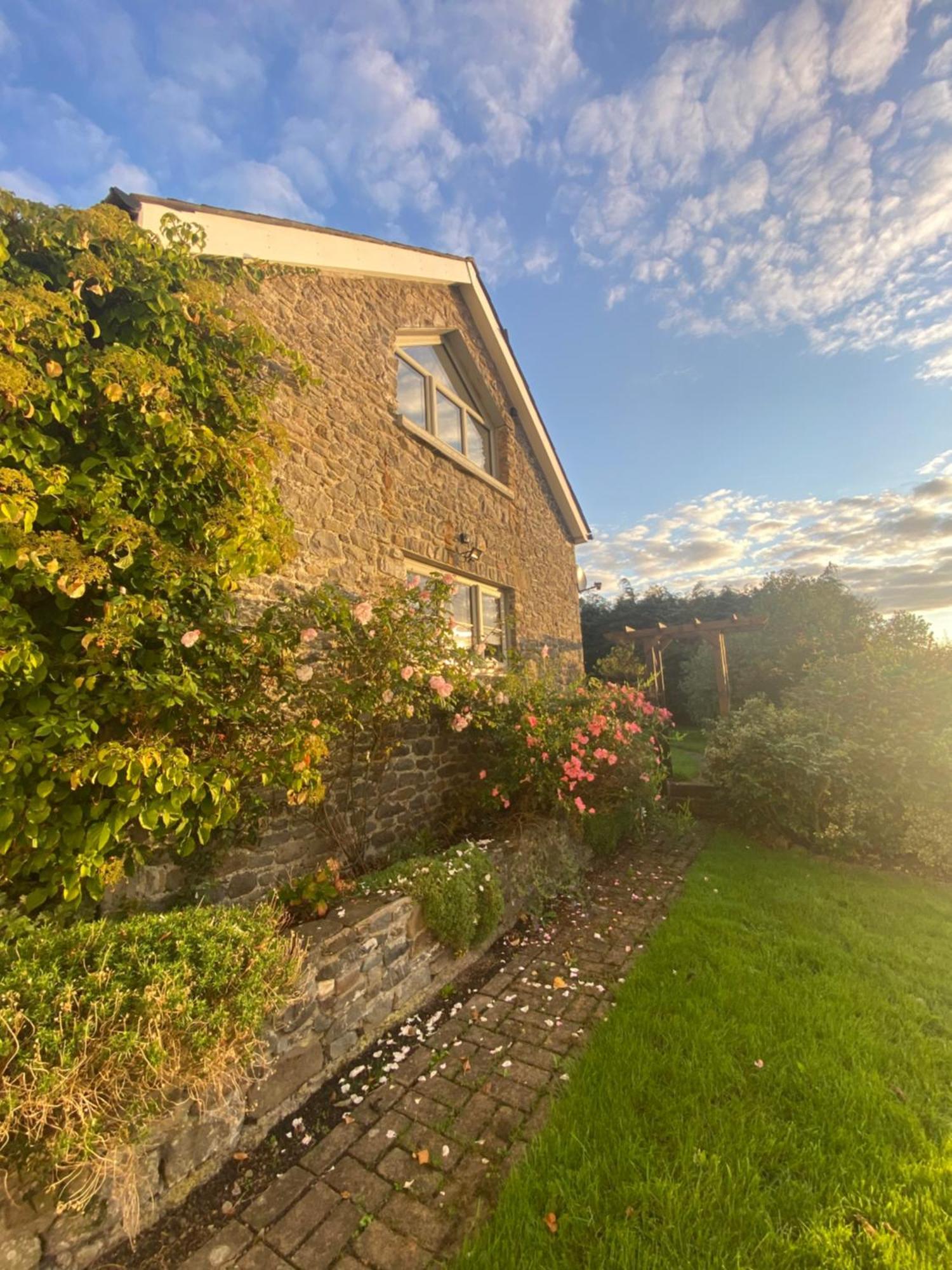 Pippin Lodge Llanwrda Kültér fotó