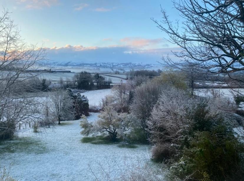 Pippin Lodge Llanwrda Kültér fotó