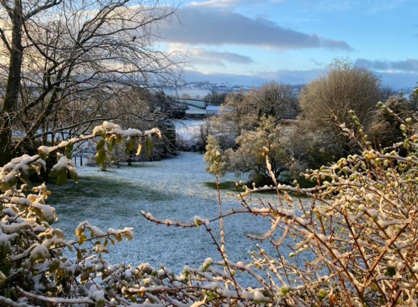 Pippin Lodge Llanwrda Kültér fotó