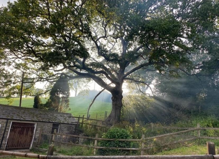 Pippin Lodge Llanwrda Kültér fotó
