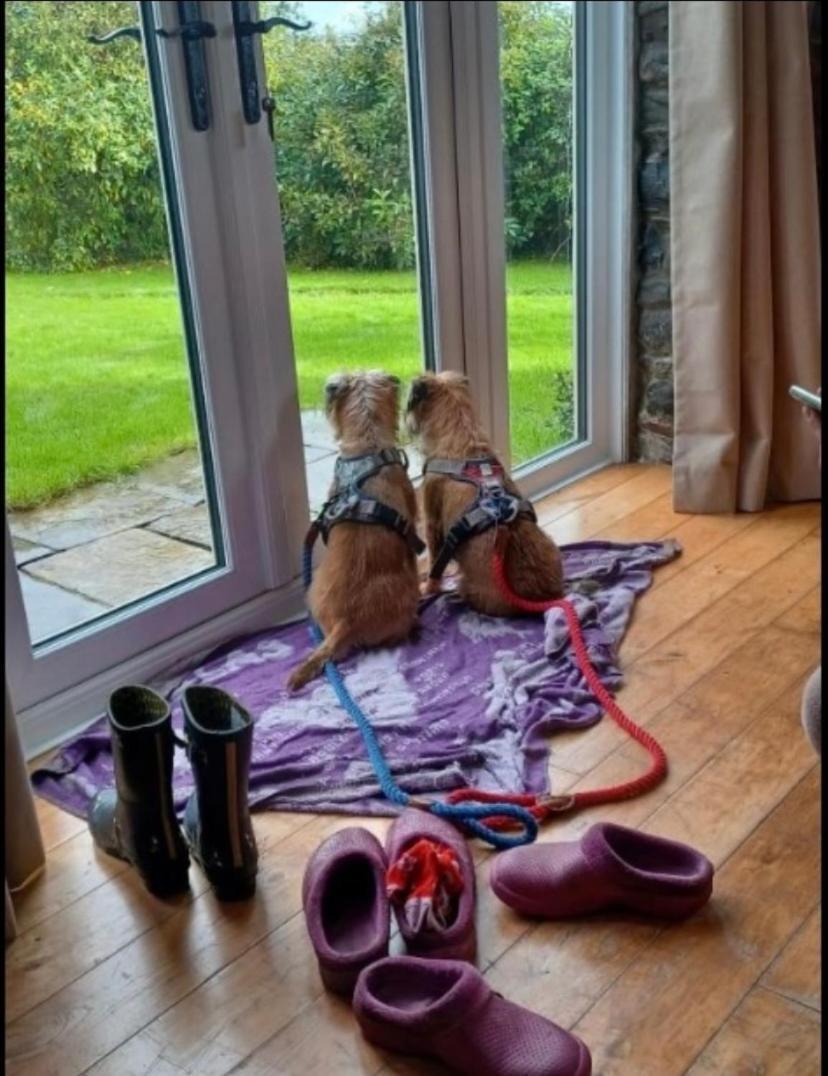 Pippin Lodge Llanwrda Kültér fotó