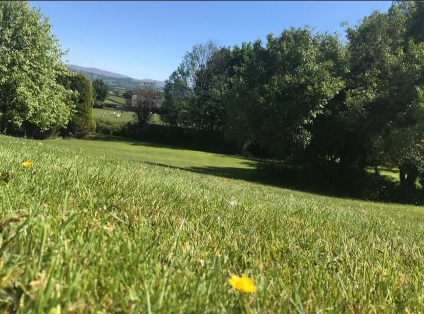 Pippin Lodge Llanwrda Kültér fotó