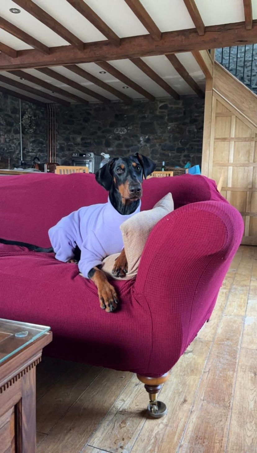 Pippin Lodge Llanwrda Kültér fotó